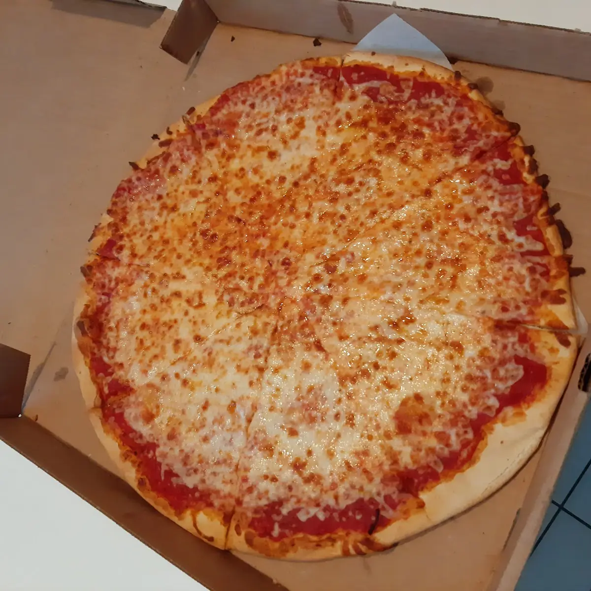 Plain Thin Crust Cheese Pizza