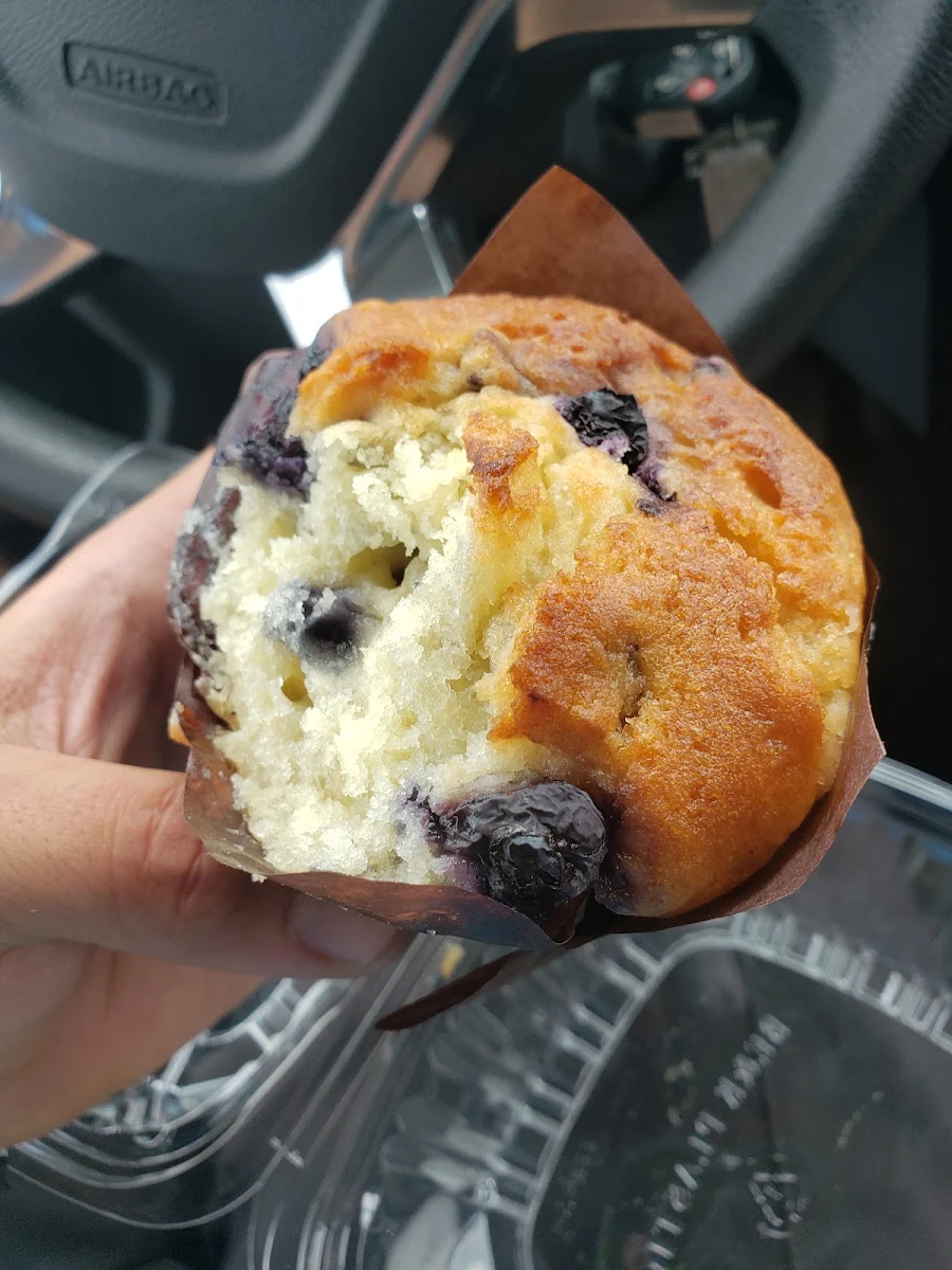 Blueberry Muffin