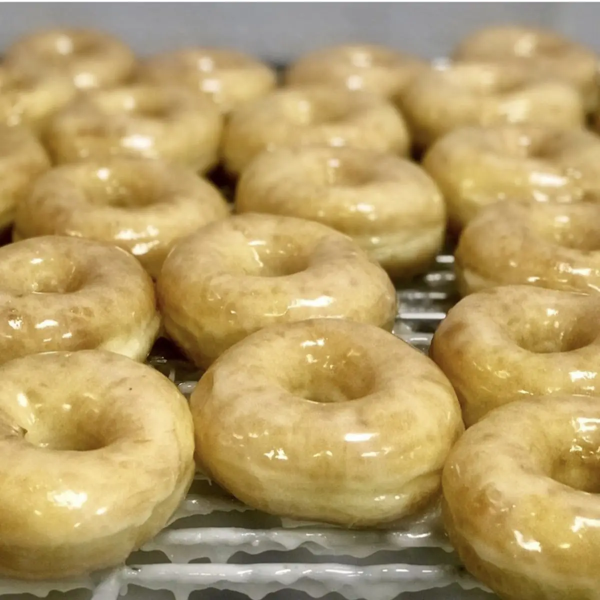 Glazed Donuts