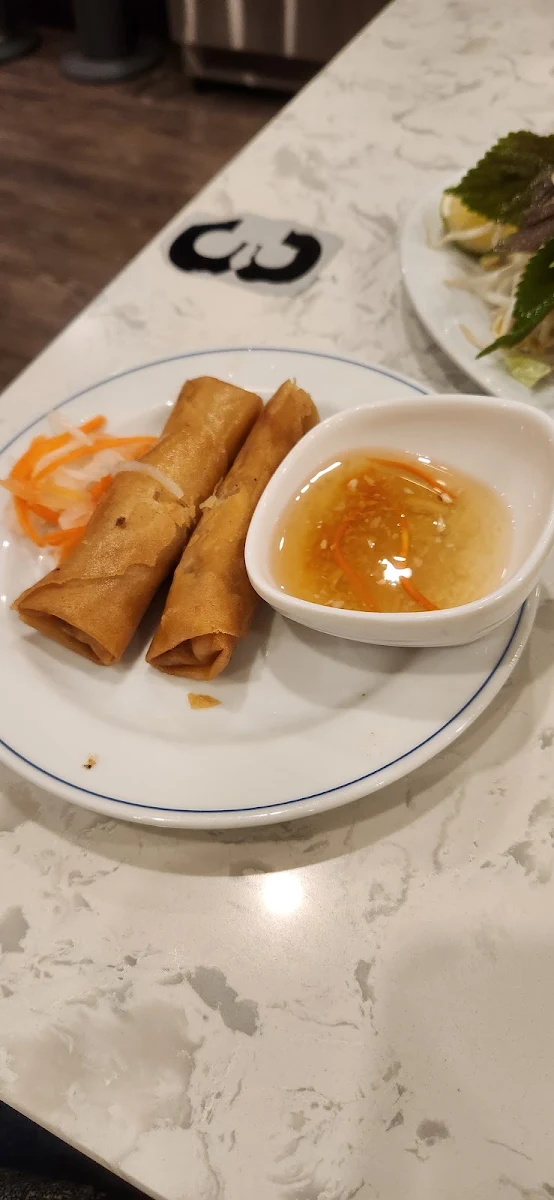 Deep Fried Spring Rolls