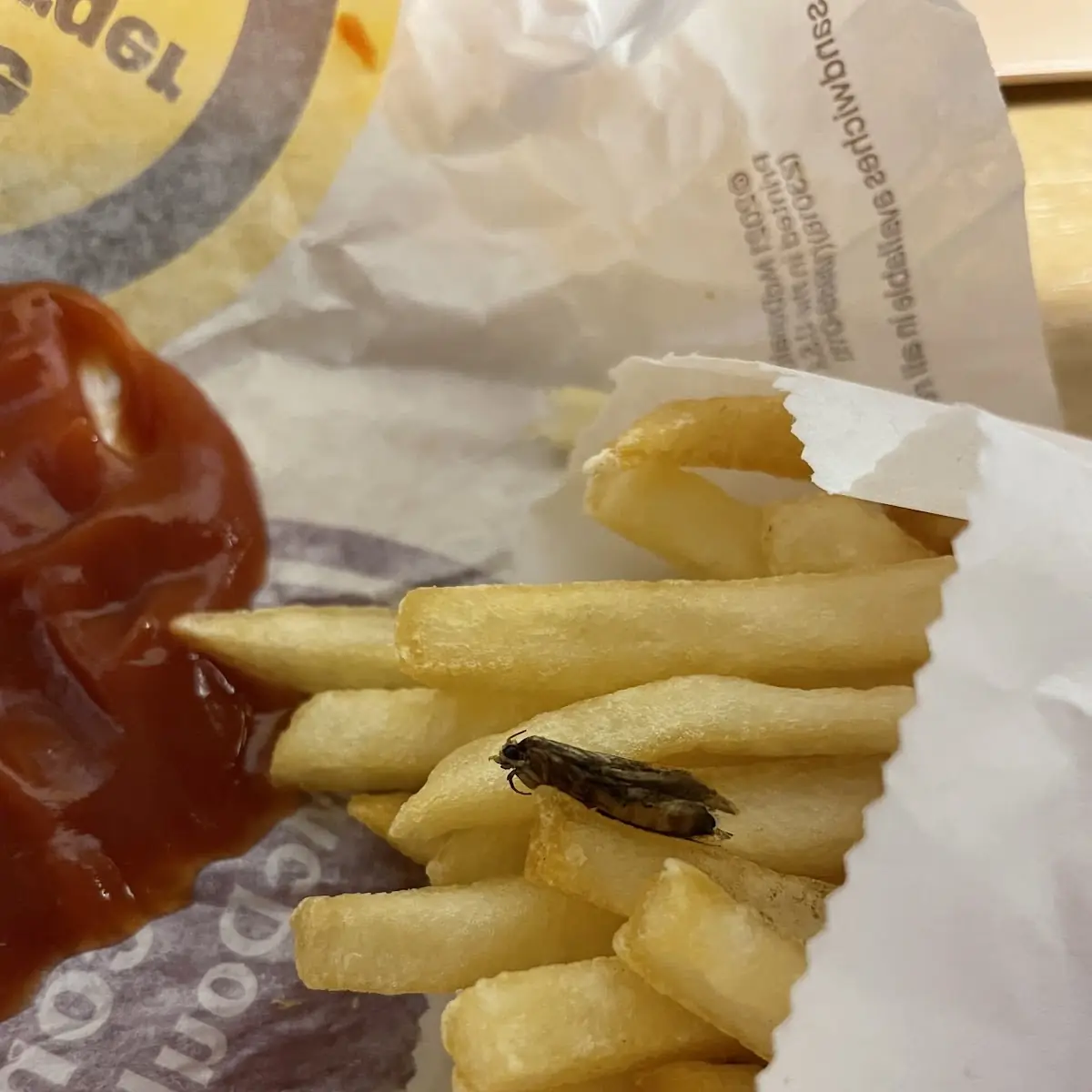 World Famous Fries