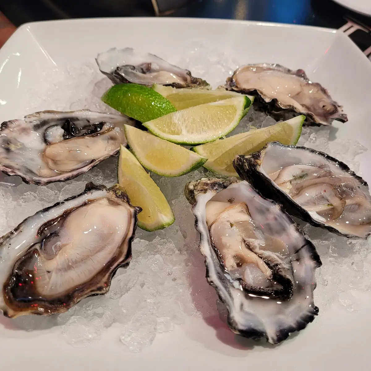 Fresh Oysters