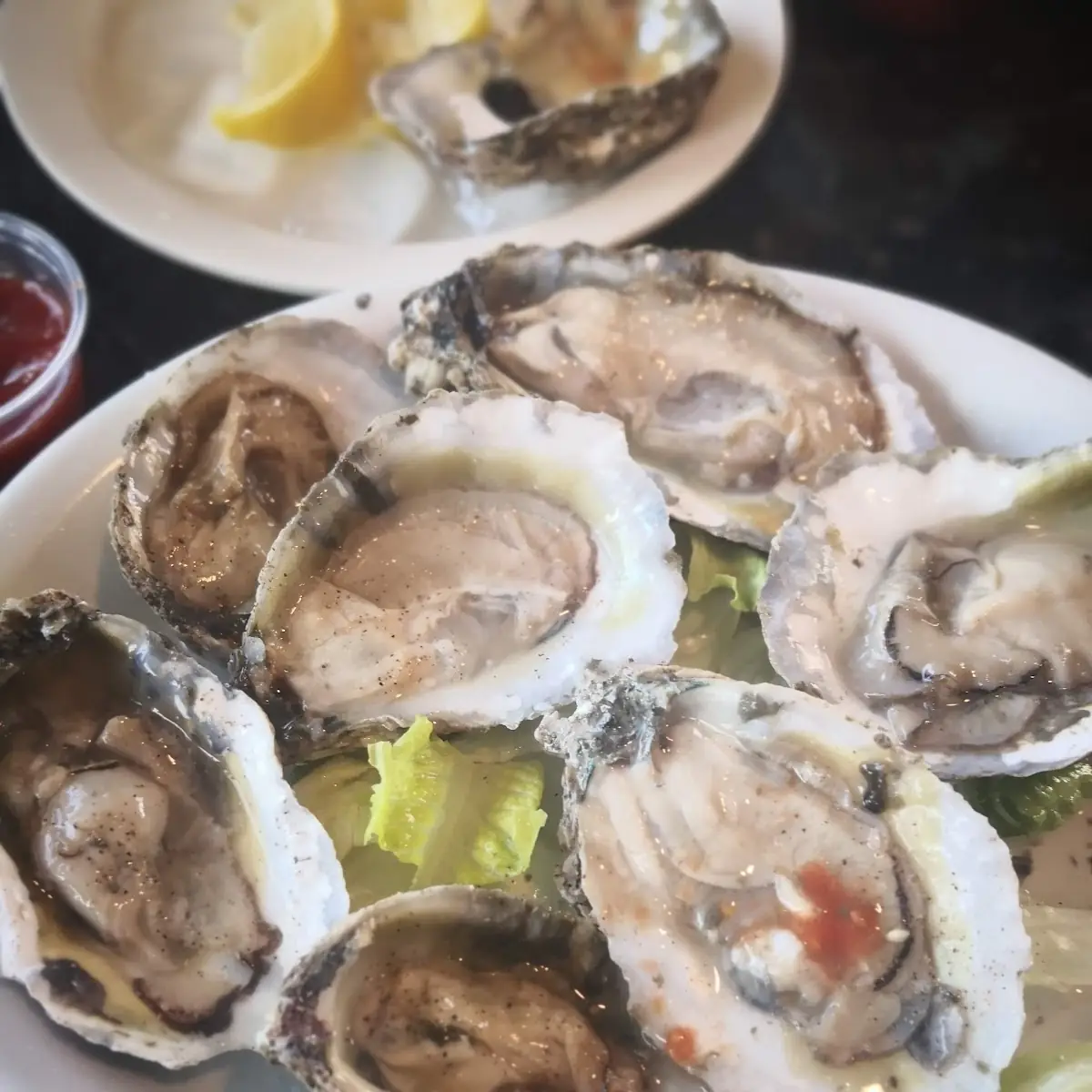 Half Dozen Blue Point Oysters