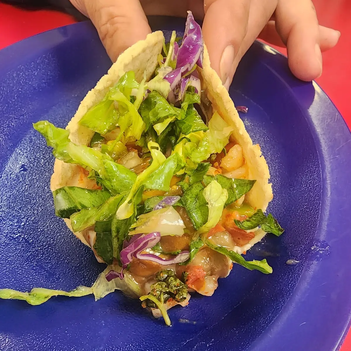 Bean Tacos