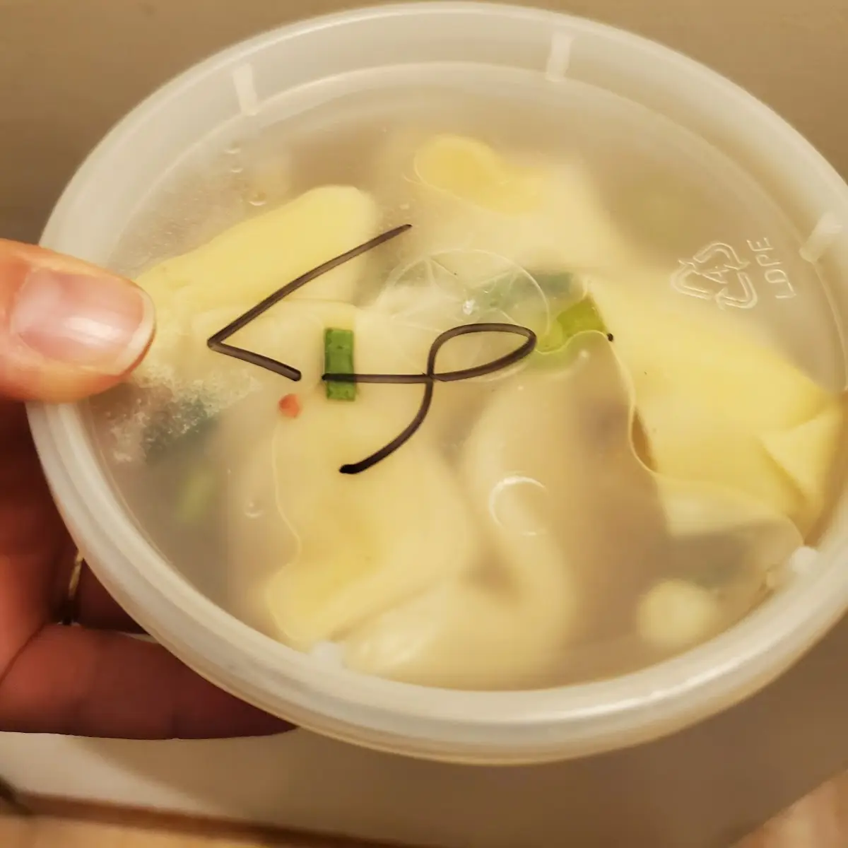 Small Wonton Soup