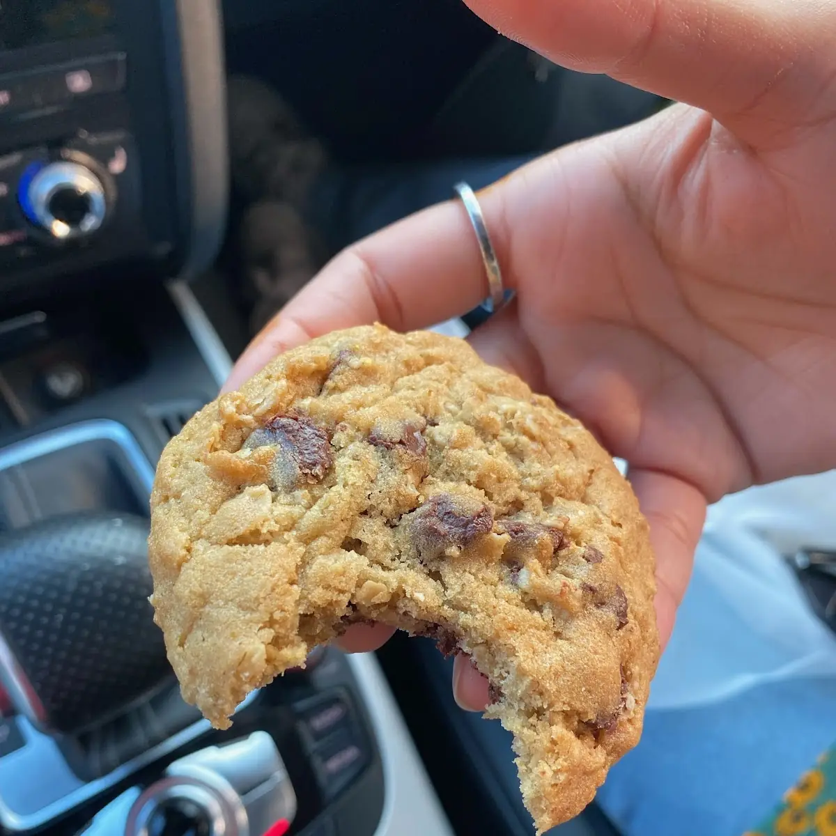 Oatmeal Chocolate Chip Cookie