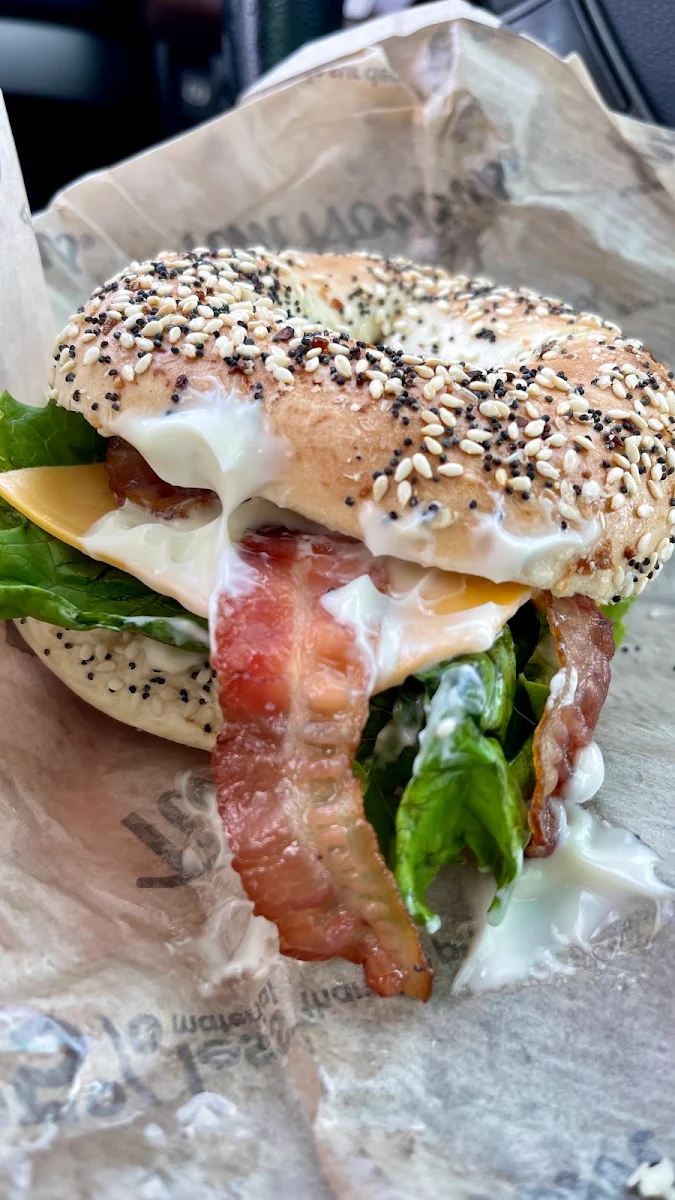 Bagel Belt, Tim Hortons