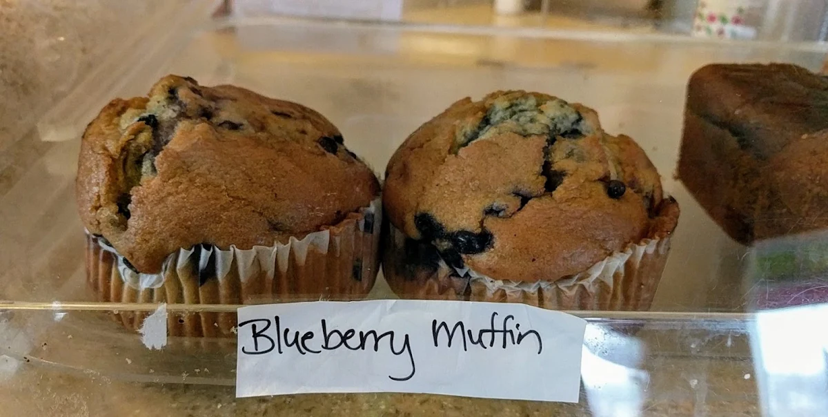 Blueberry Muffin