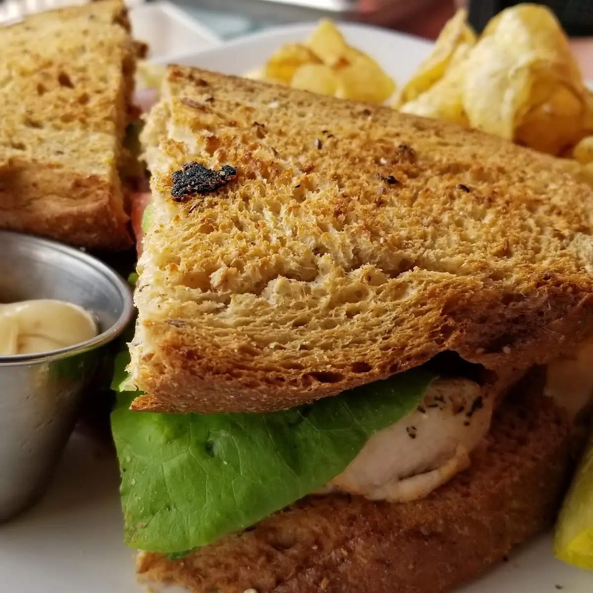 Grilled Chicken Club