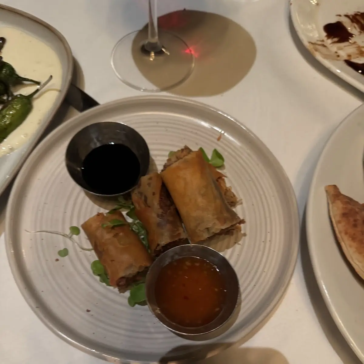Beef Spring Rolls