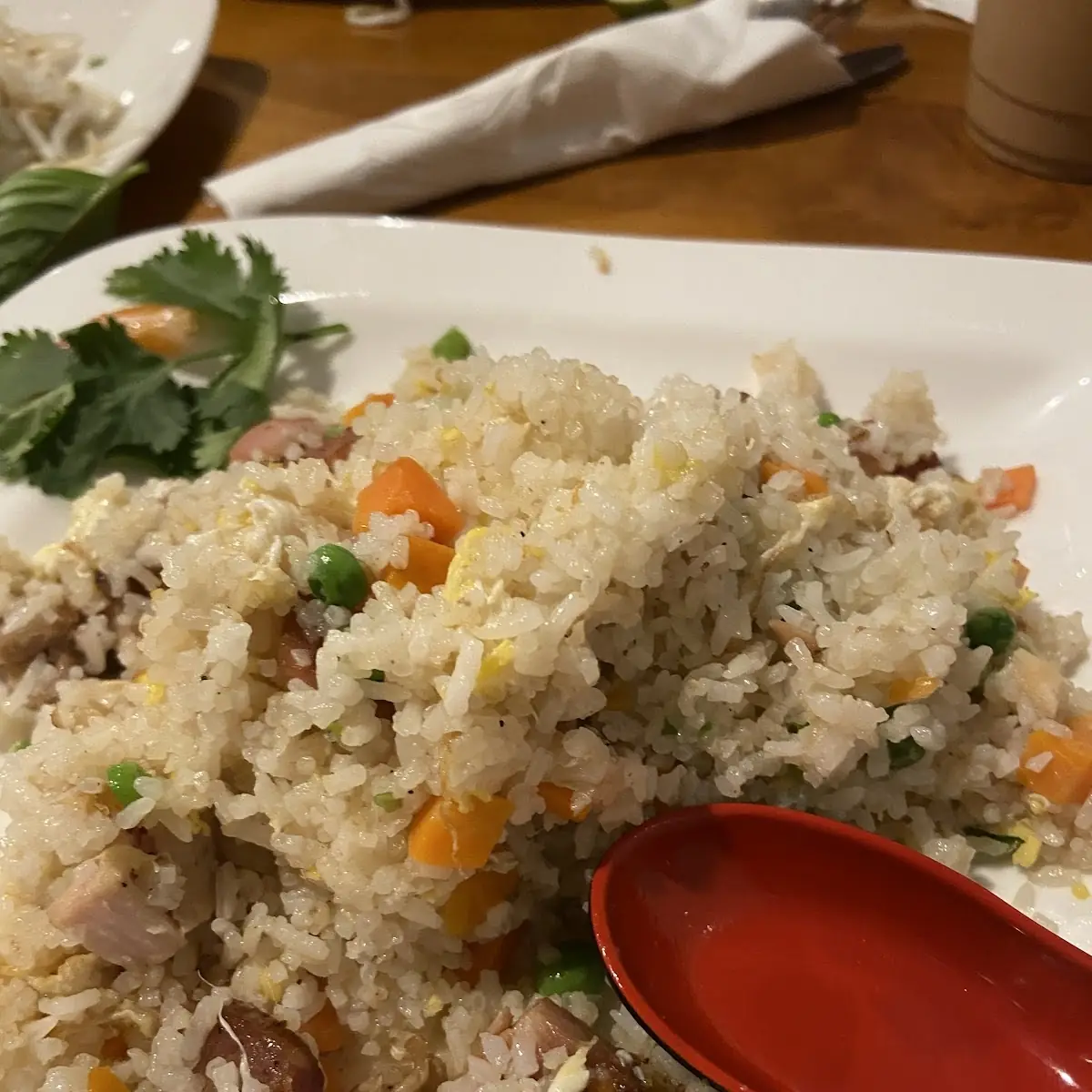 Fried Rice Combination