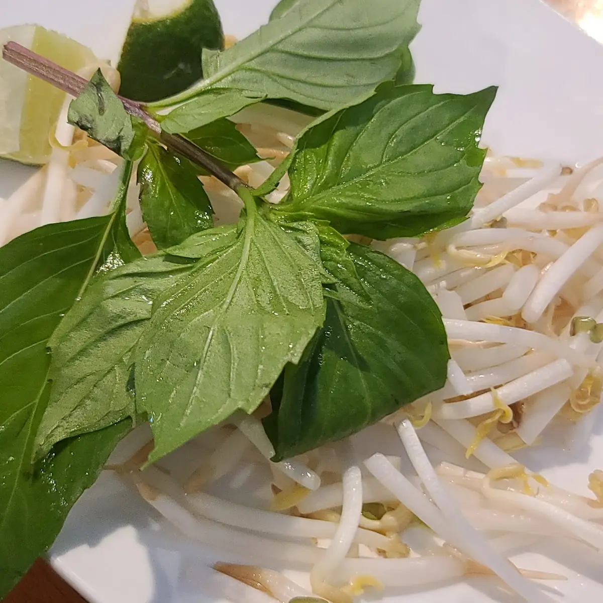 Grilled Chicken Pho