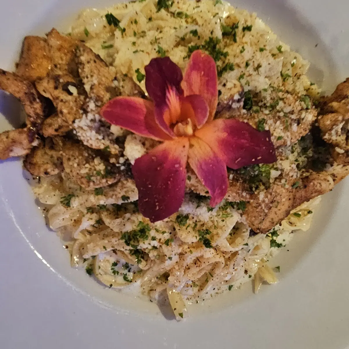 Chicken Alfredo