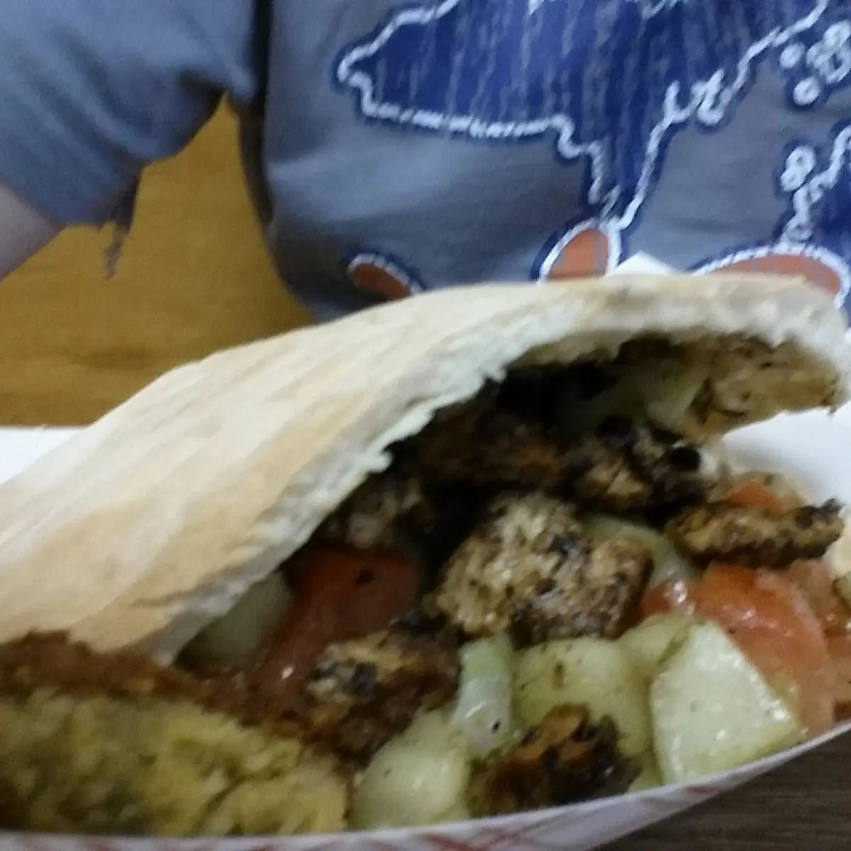Gyro Portion