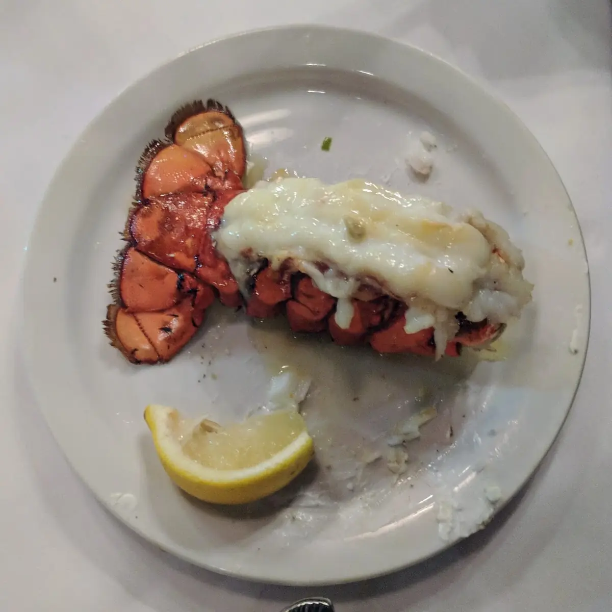 Twin North Atlantic Lobster Tails