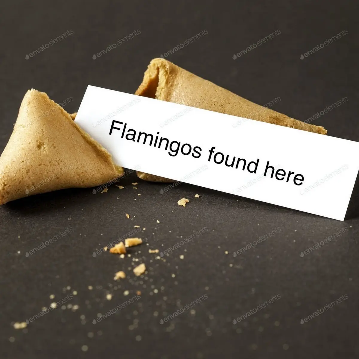 Fortune Cookie
