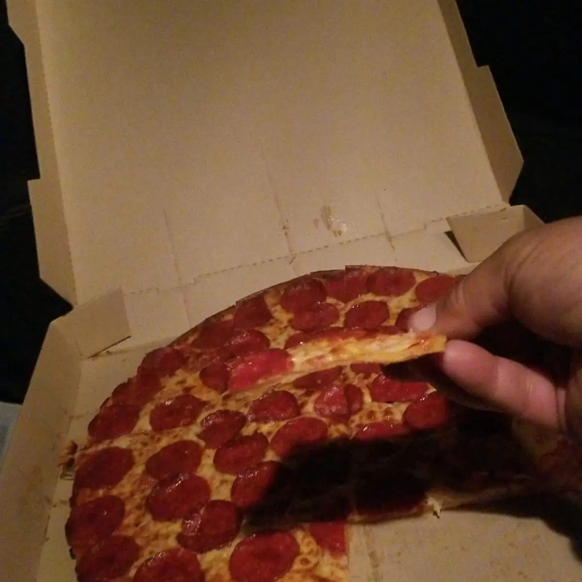 Thin Crust Pizza