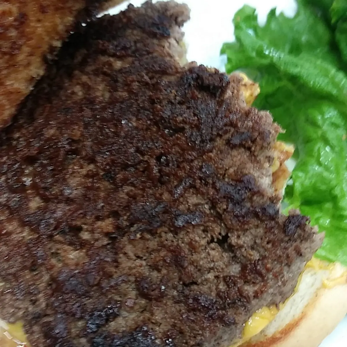 Hamburger Steak