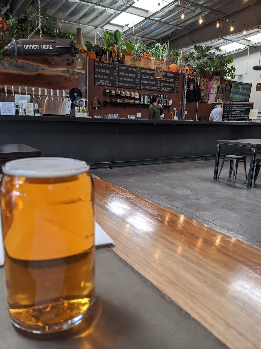 Short Fuse Blonde Ale