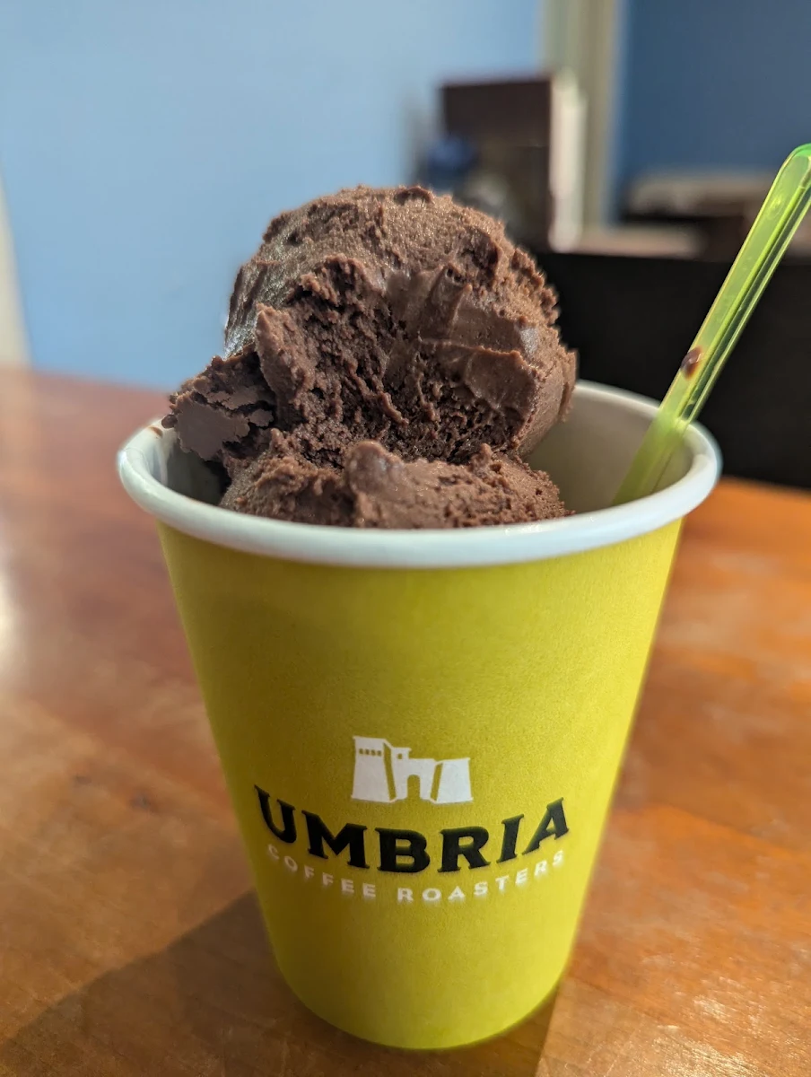 Chocolate Gelato Large