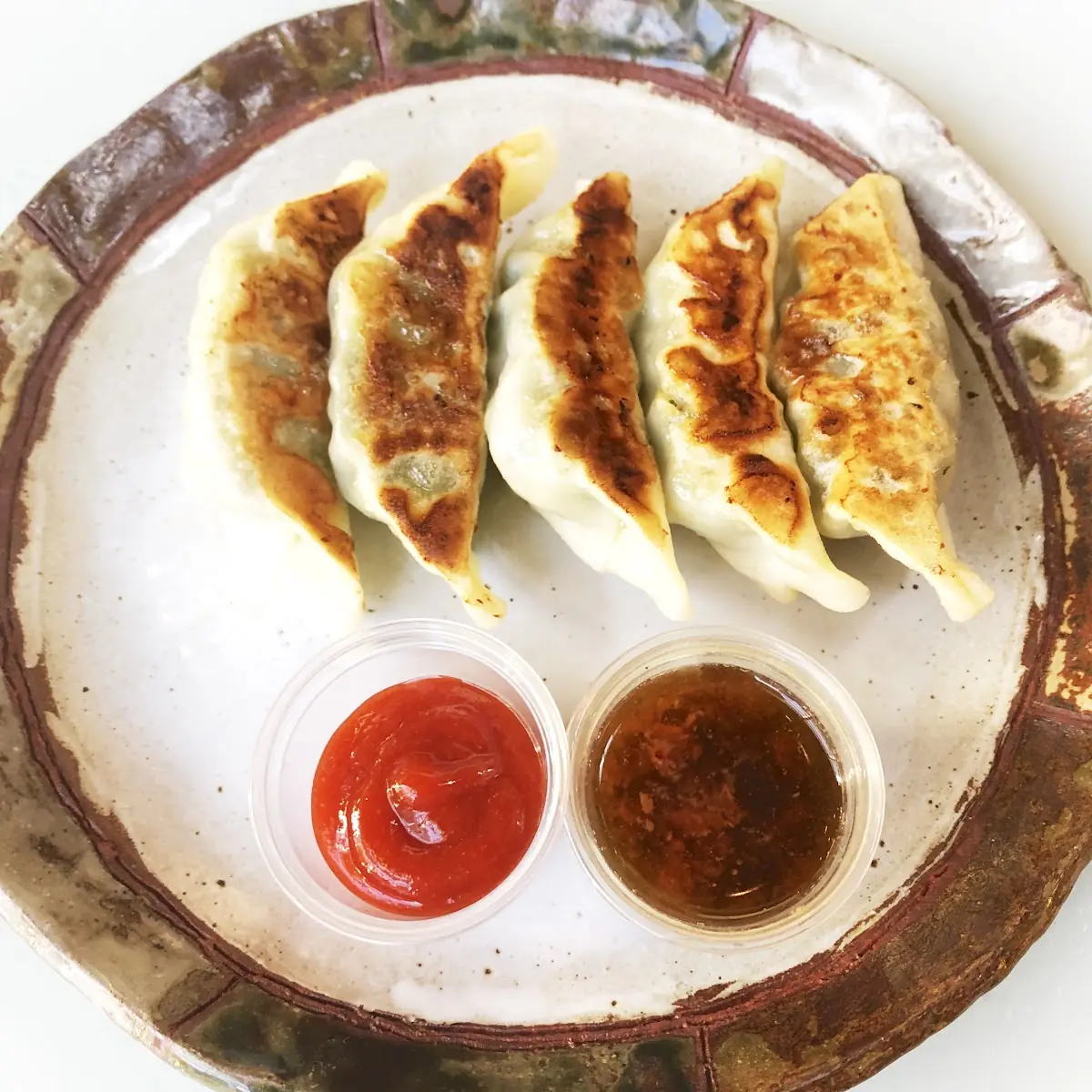 Vegetable Gyoza Dumpling