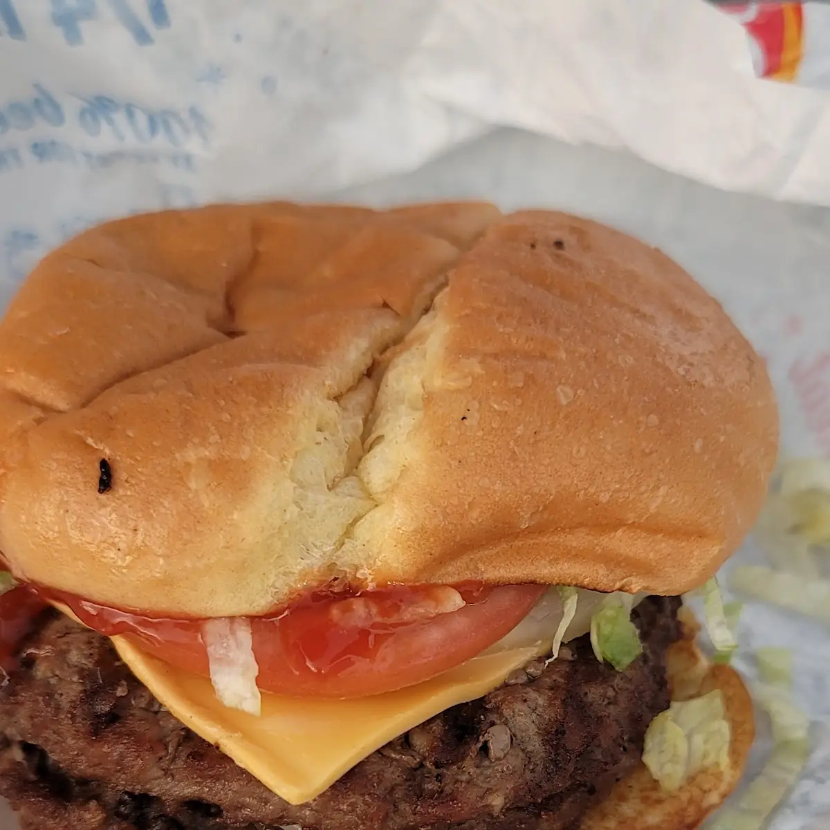 Double Cheeseburger Combo