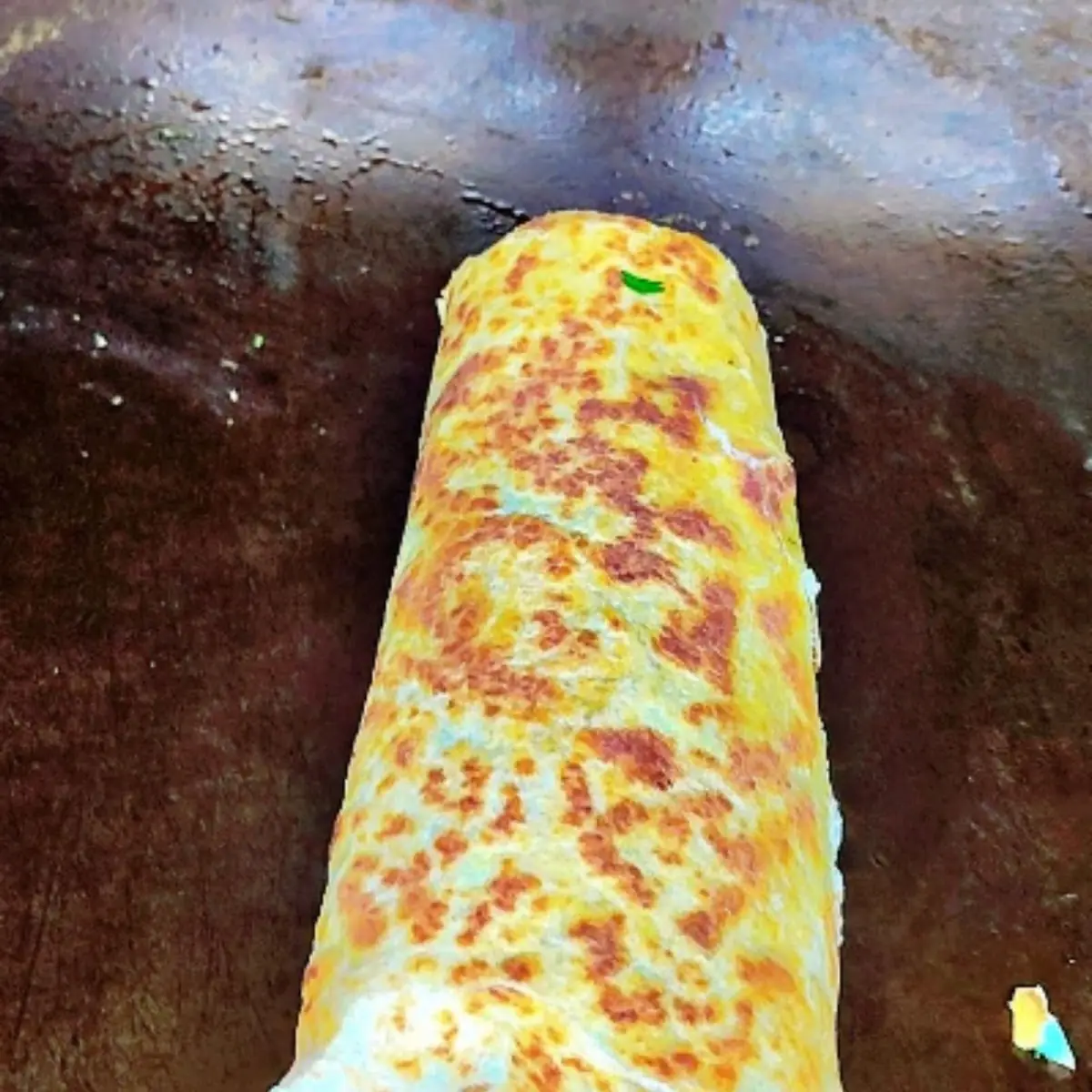 Burrito
