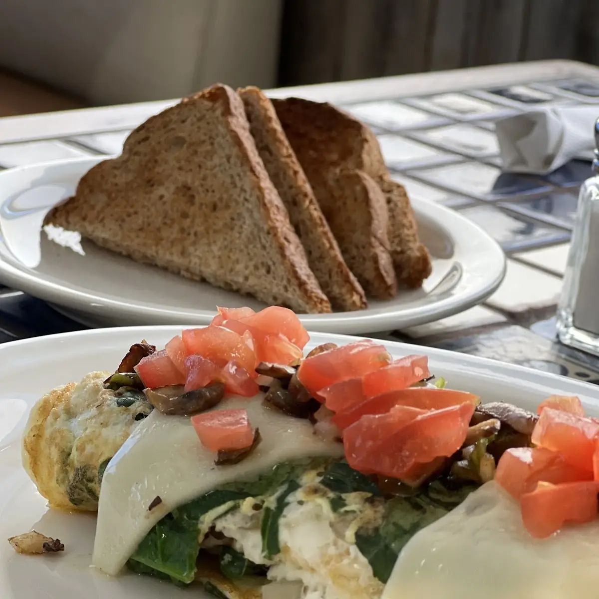Egg White Veggie Omelete