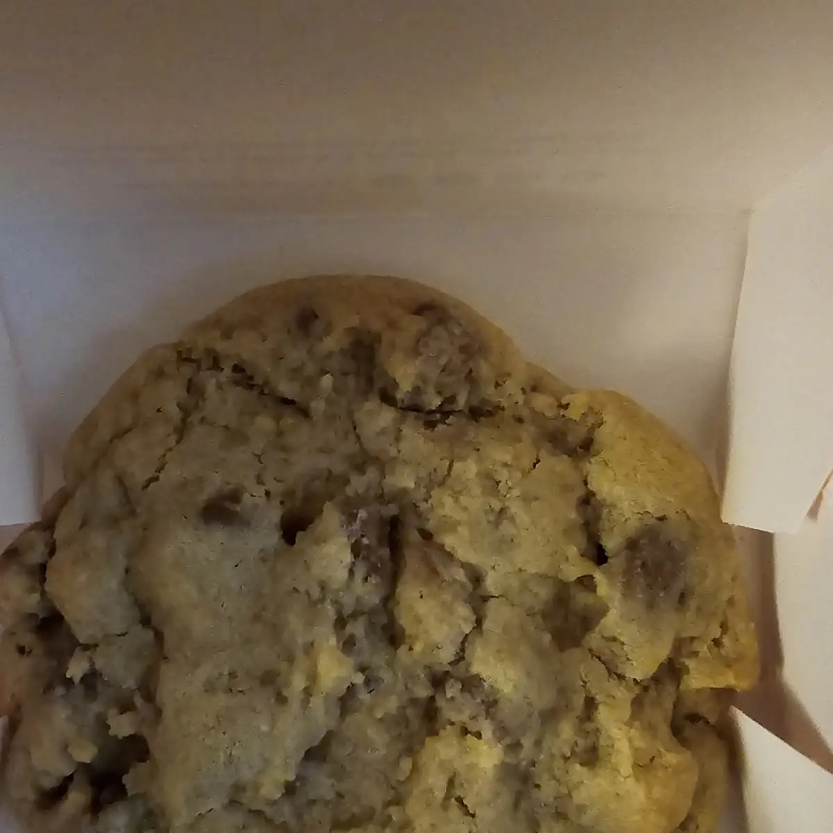Milk Chocolate Cookie