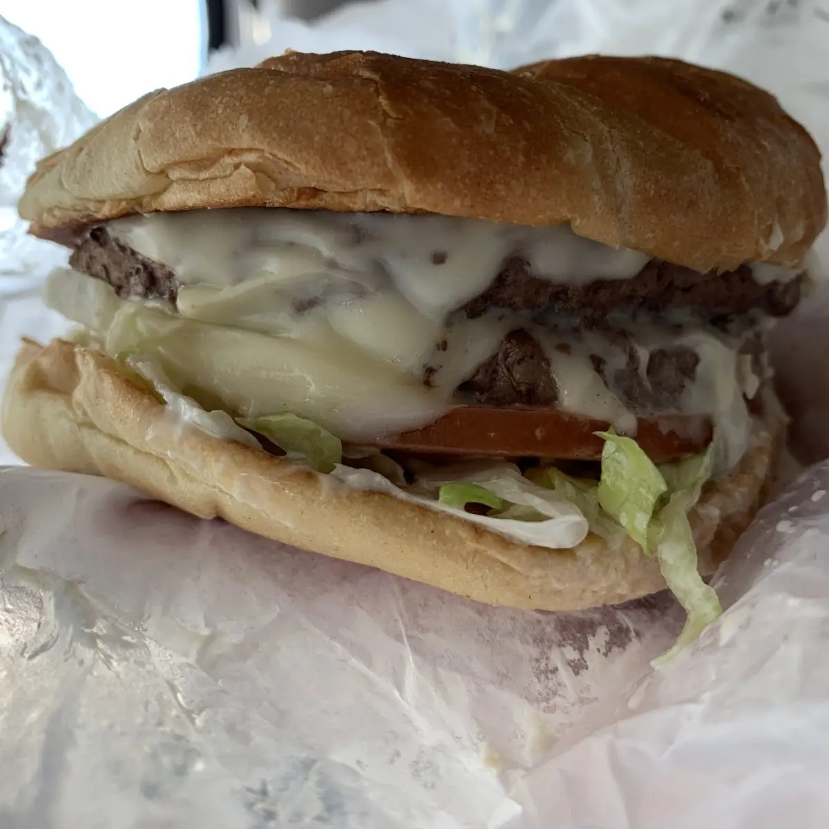 Double Cheeseburger