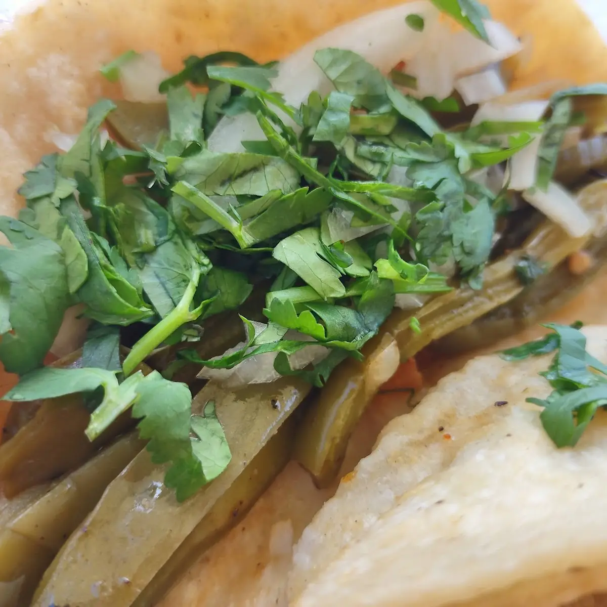 Nopal Taco