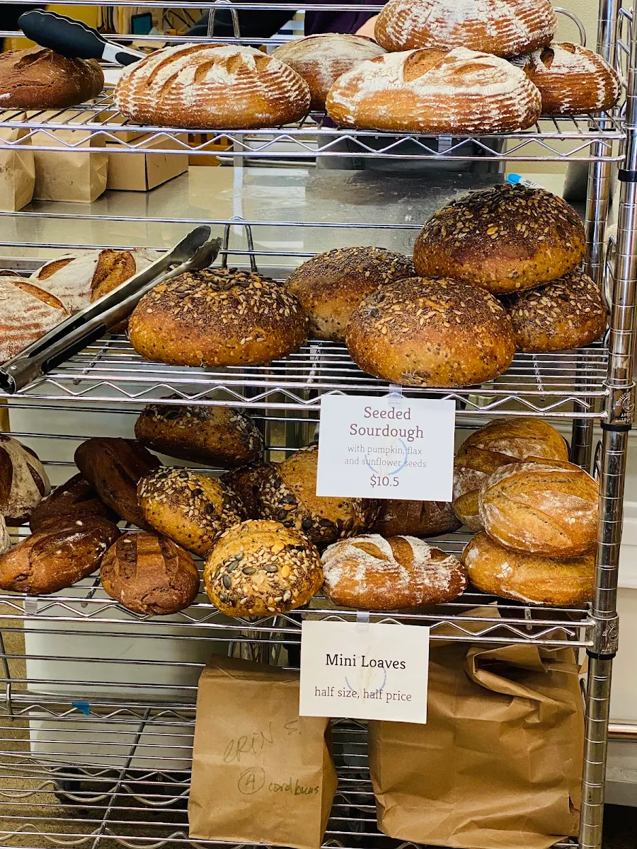 Bagel