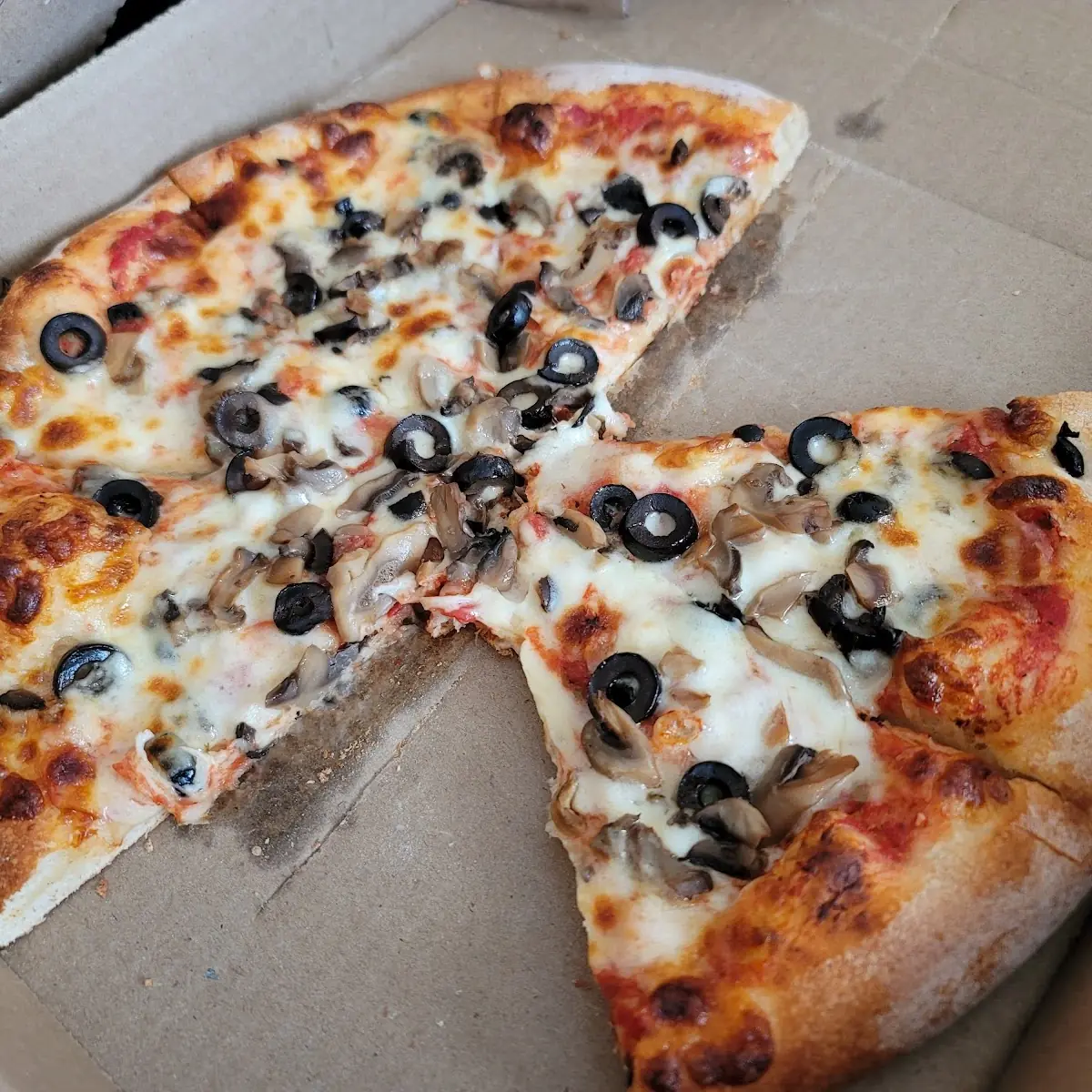 Black Olives and Mushroom Pizza