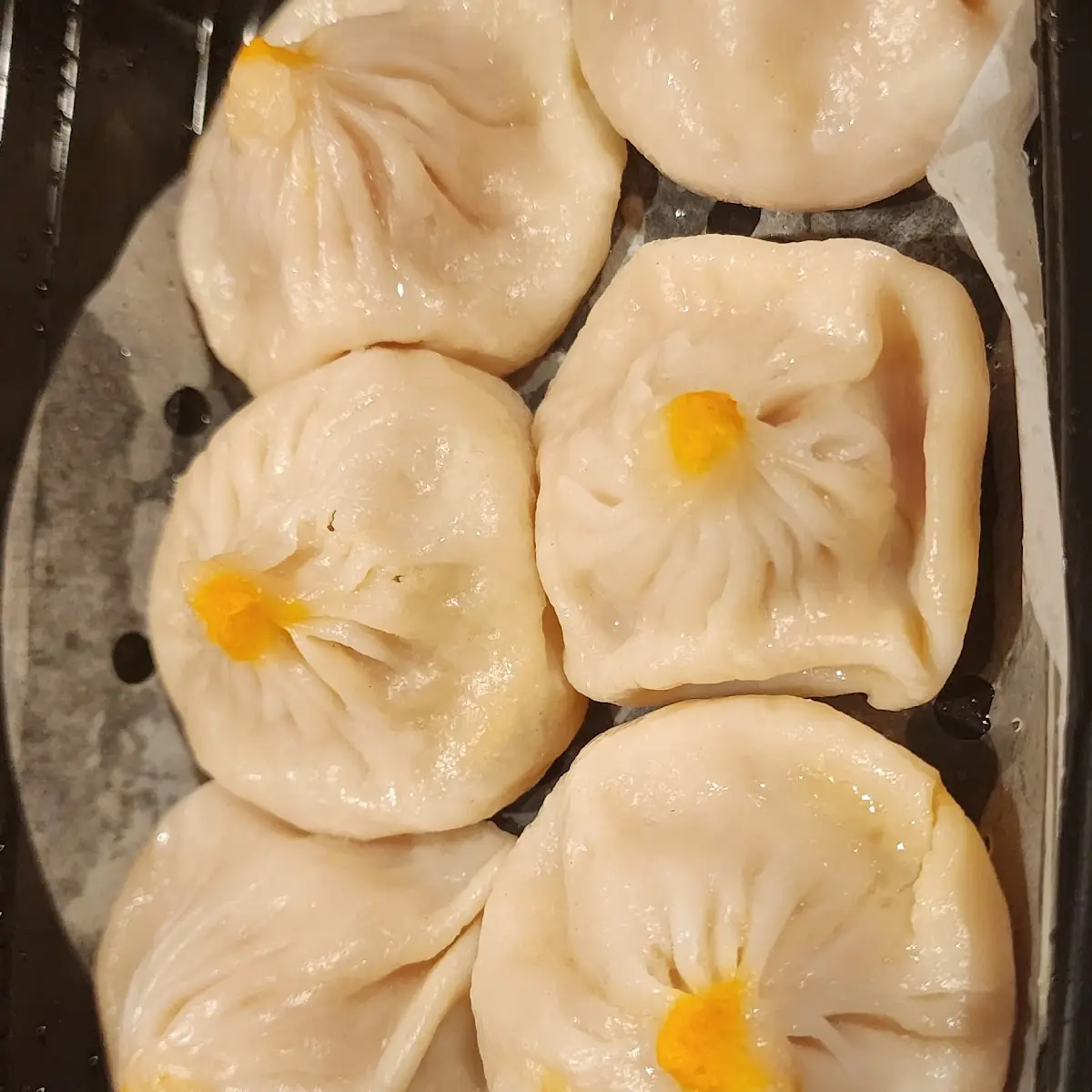 Steamed Dumplings