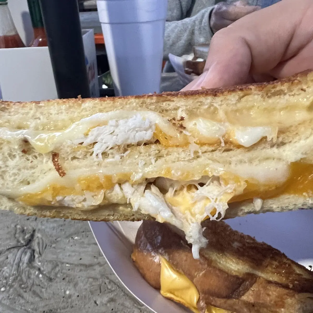 Cheese Sandwich