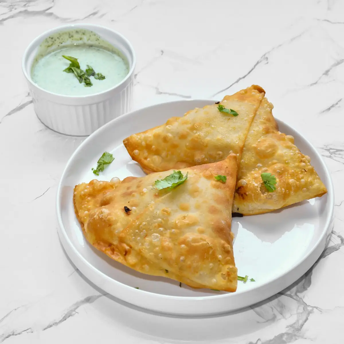 Paneer Samosa, BBQ Night & Party Lounge