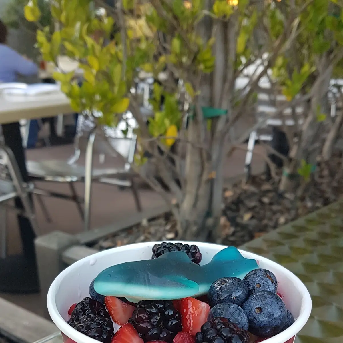 Frozen Yogurt