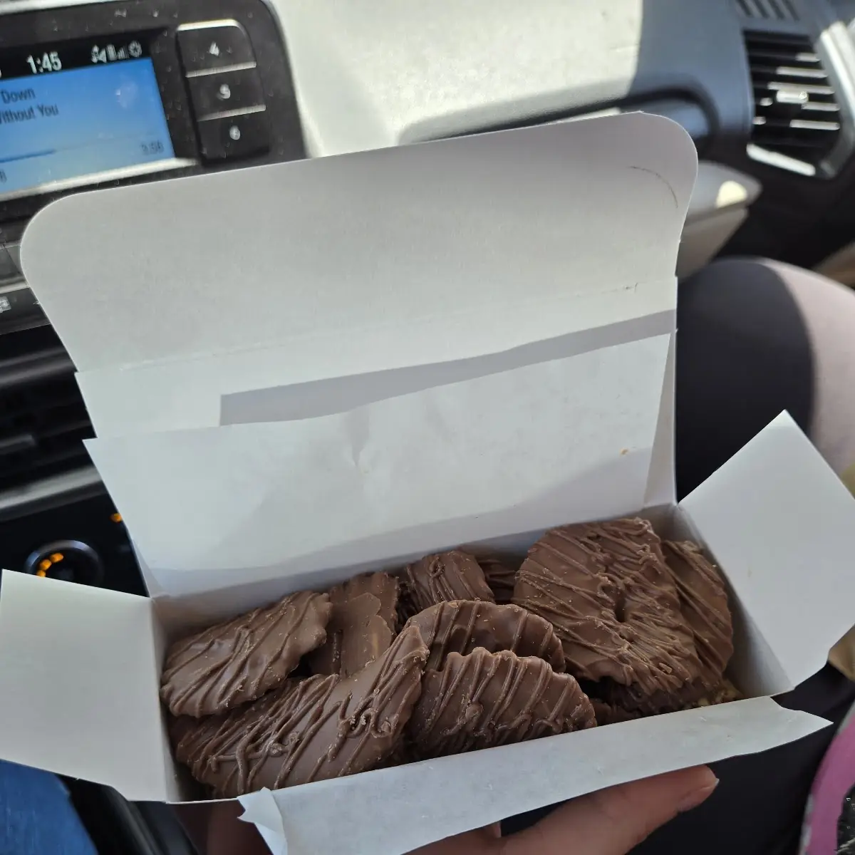 Chocolate Covered Potato Chips