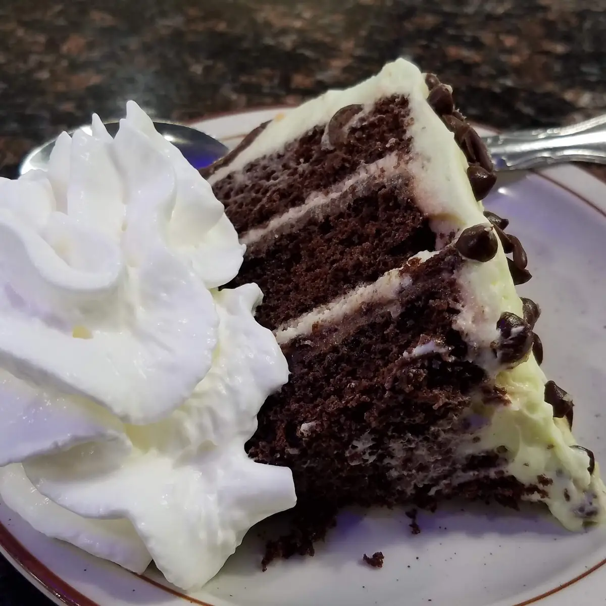 Mint Chocolate Cake with Whipped