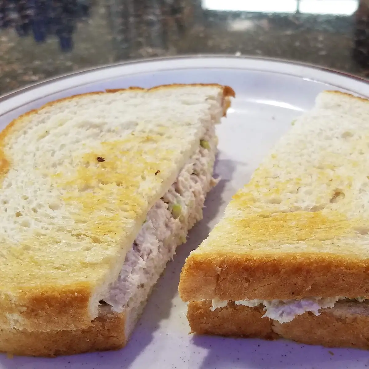 Tuna Melt Sandwich with Swiss Cheese