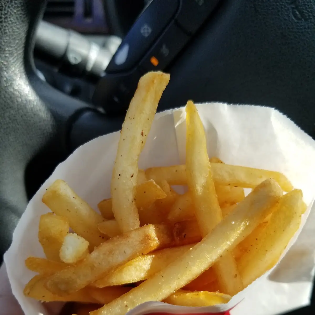 World Famous Fries