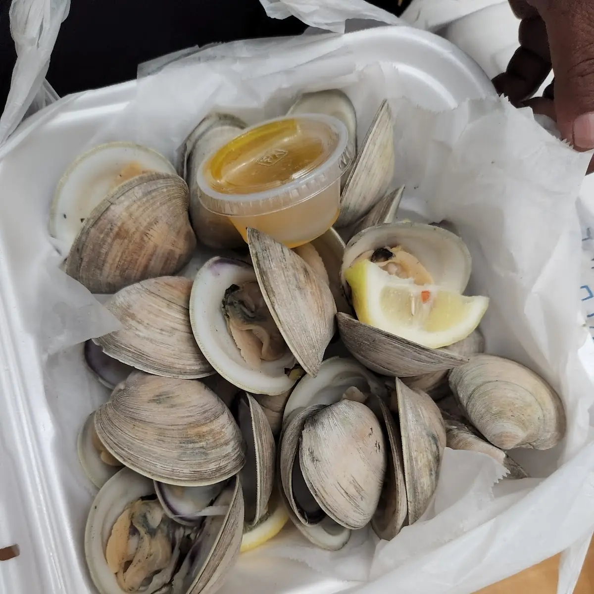 Steamed Clams