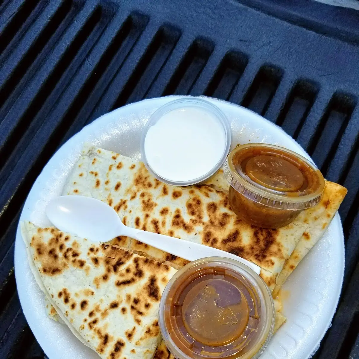 Quesadilla Chicken