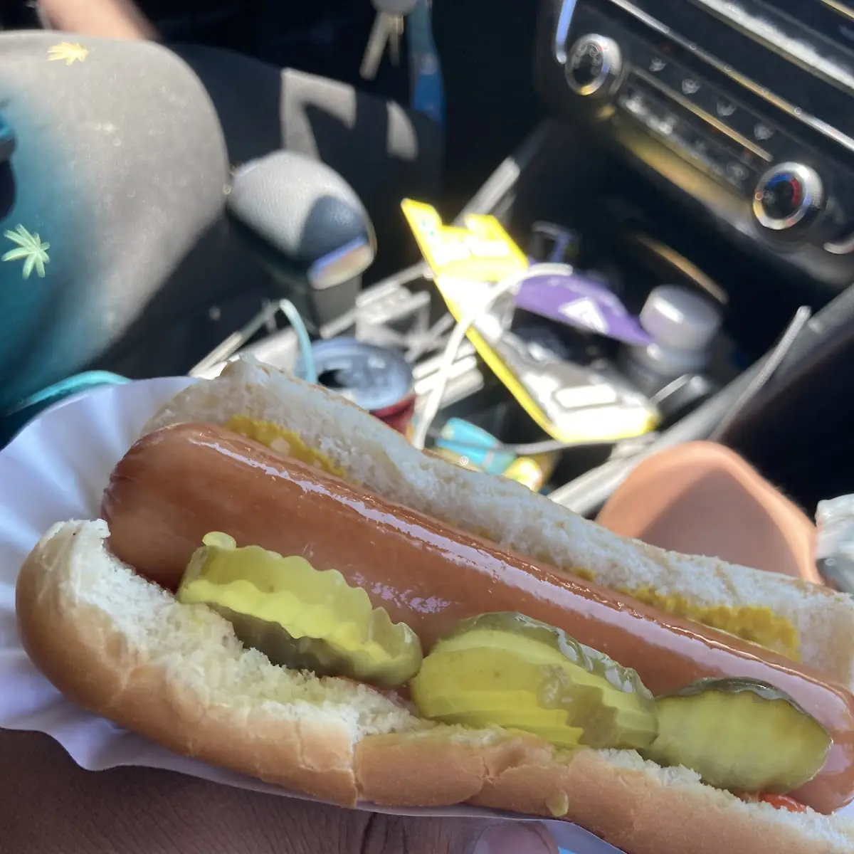 Hot Dog