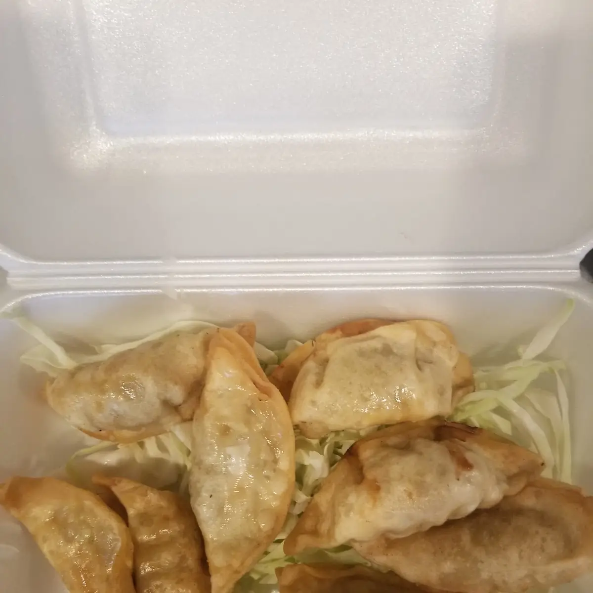 Fried Dumplings