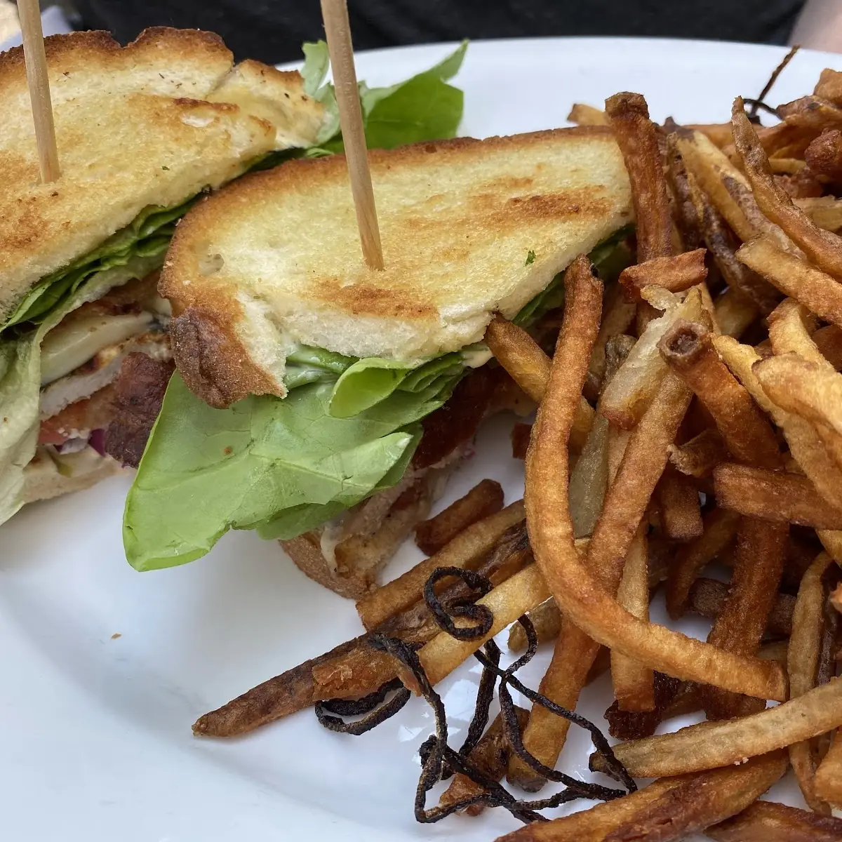 Grilled Chicken Club with Fries