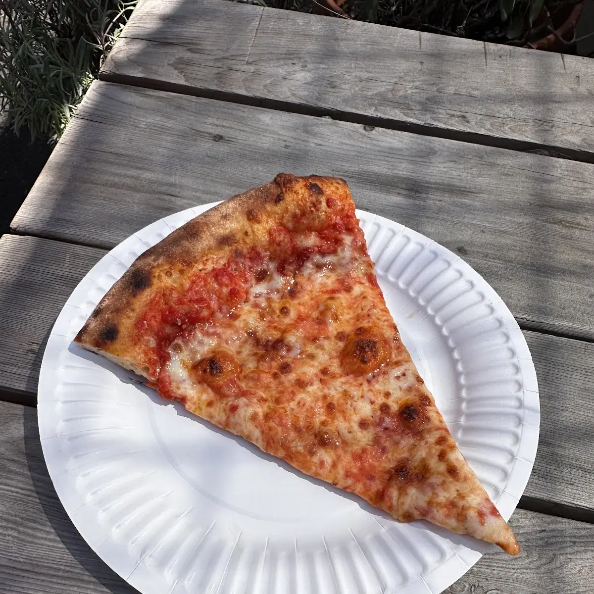 Cheese Pizza Slice