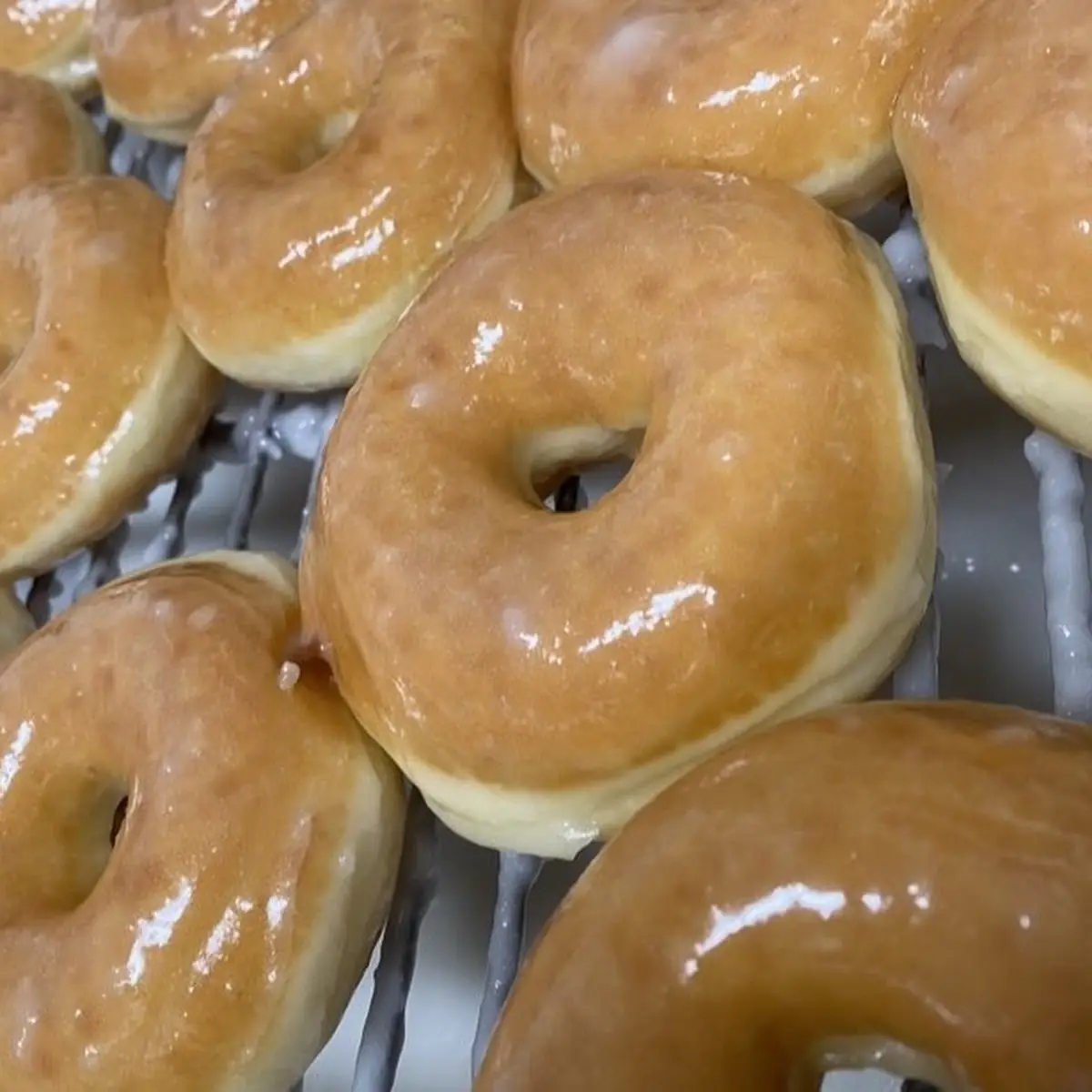 Doughnut