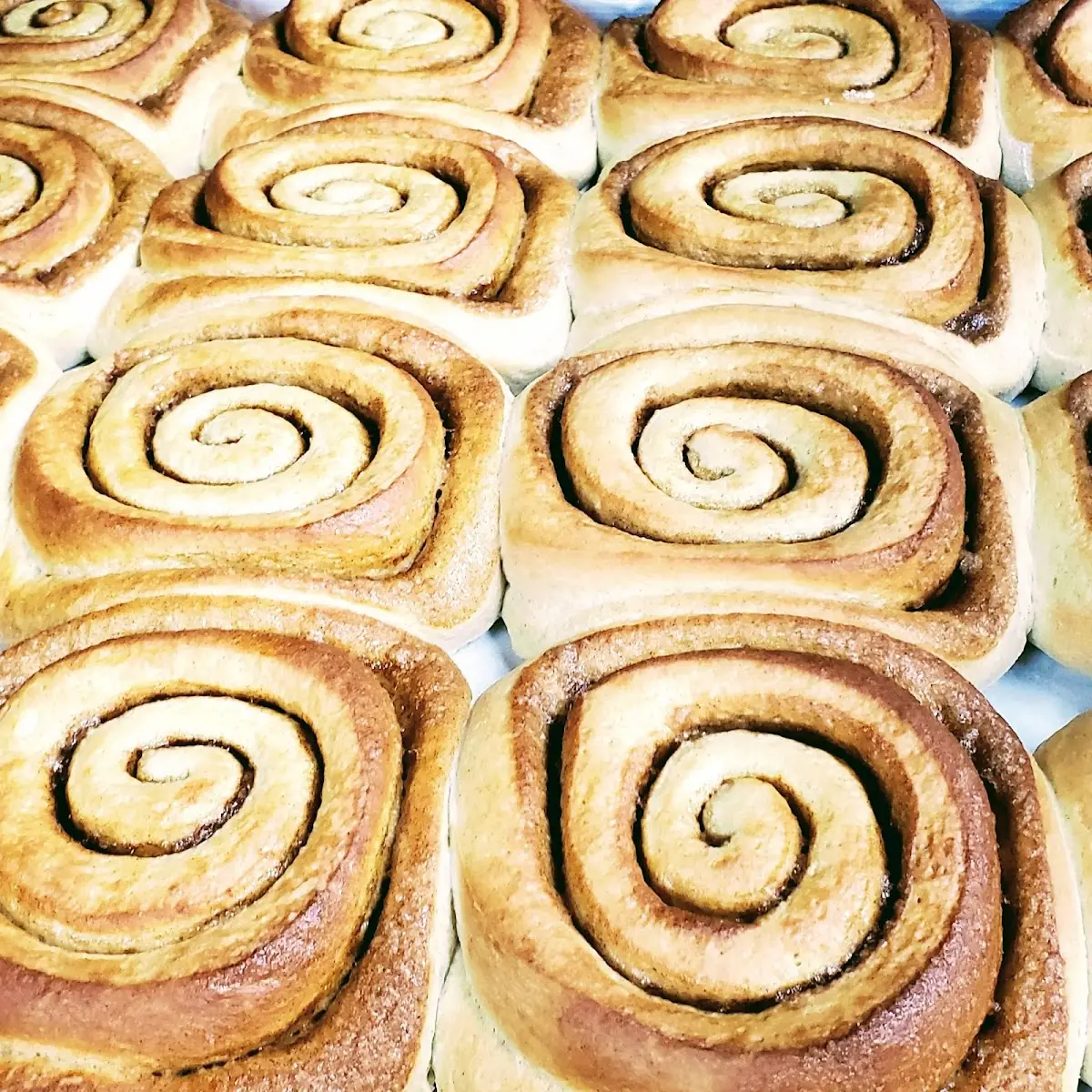 Frosted Cinnamon Rolls