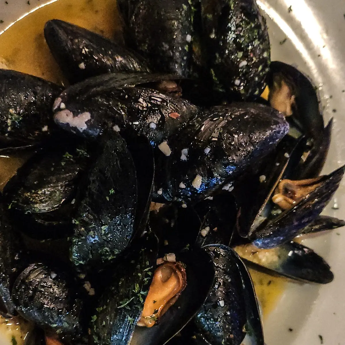 Muscles with Garlic Sauce
